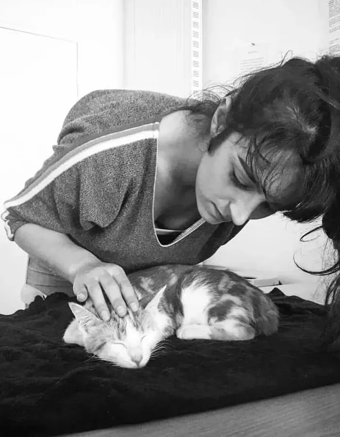 Séance féline photographiée pour le fil Instagram du cabinet d'ostéopathie animale