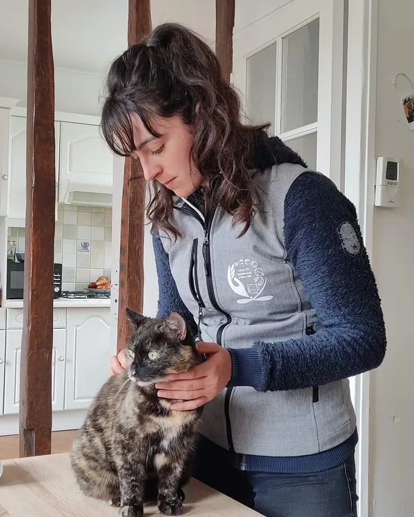 Chat écaille de tortue tenu contre sa propriétaire avant le début de la consultation