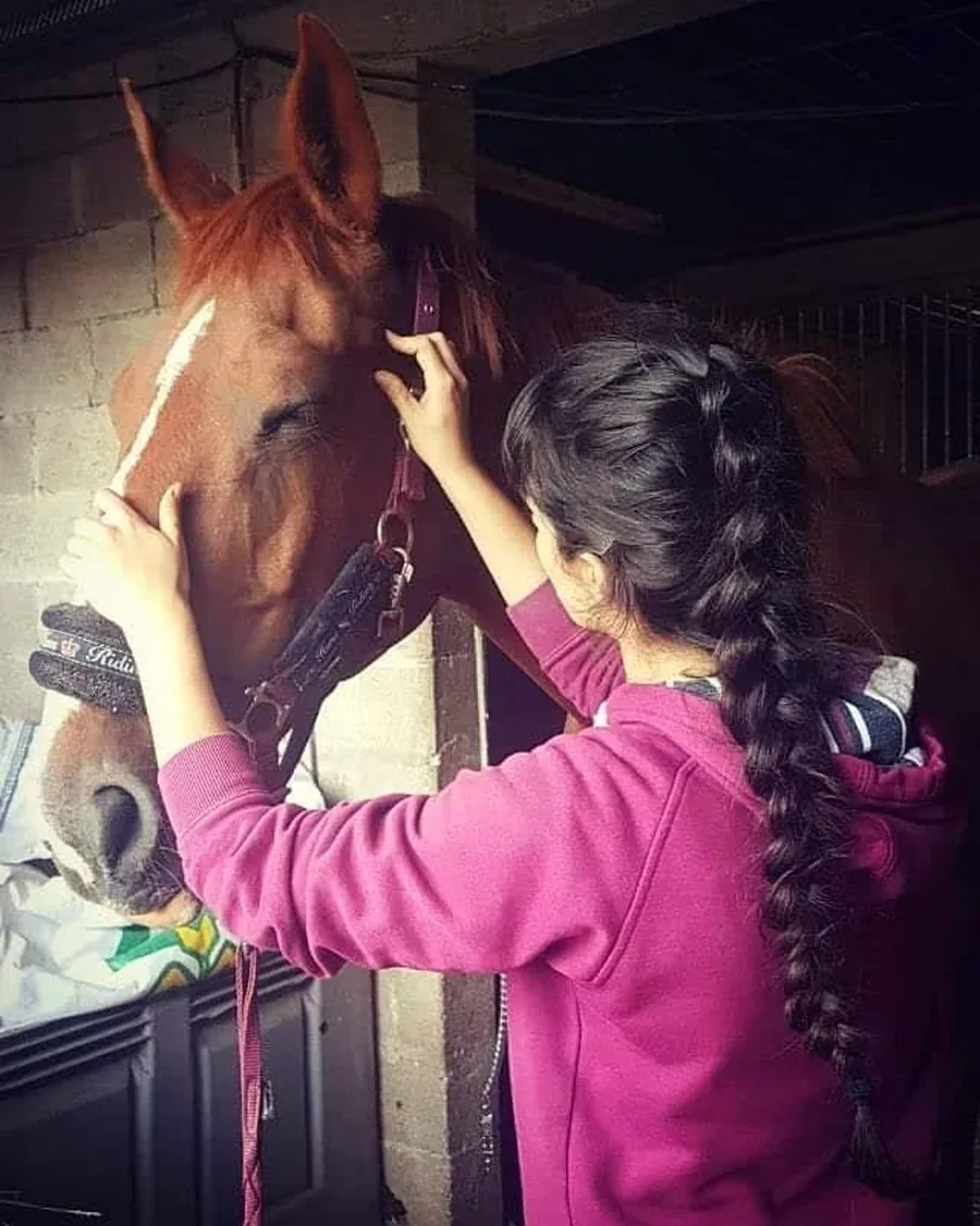 Ostéopathie équine à Mios : Mélanie Pey manipule l'encolure d'un cheval alezan dans son box