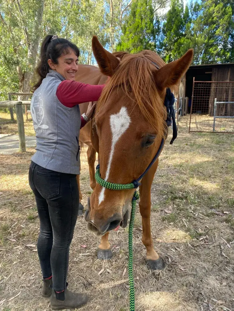 Mélanie Pey auprès d'un cheval alezan, prête à recevoir votre demande de rendez-vous