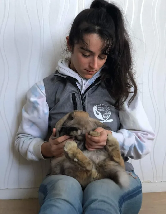 Lapin tenu contre sa praticienne pendant une séance d'ostéopathie pour NAC à domicile