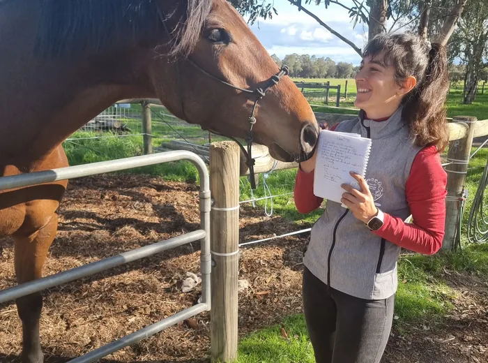 Anamnèse notée sur une fiche devant un cheval bai, au début de la consultation