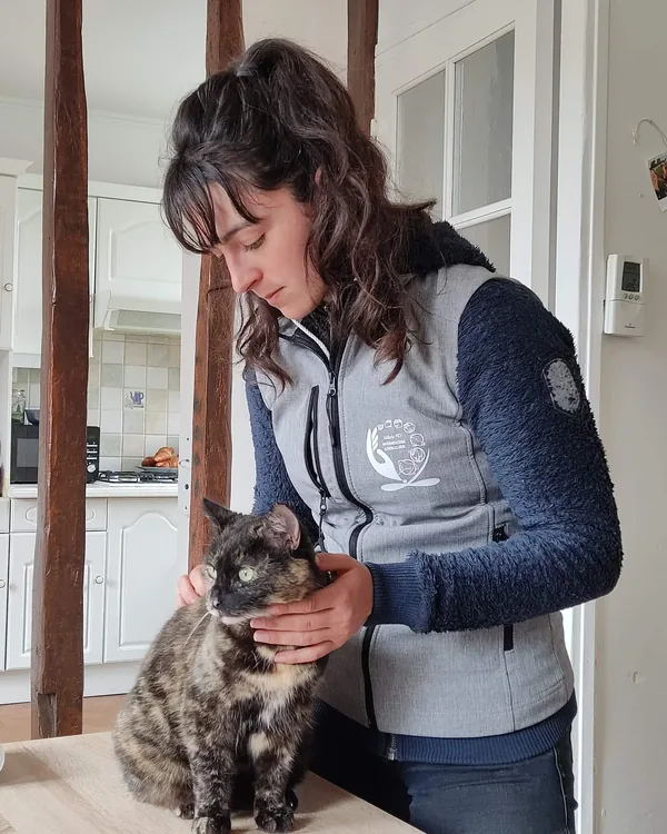 Animal au repos après sa consultation, pendant les 48 heures de récupération